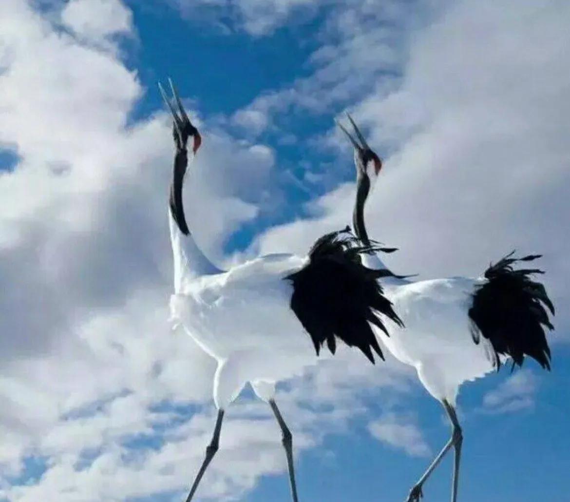 江浙沪方言土话大全搞笑,海派方言大全完整版