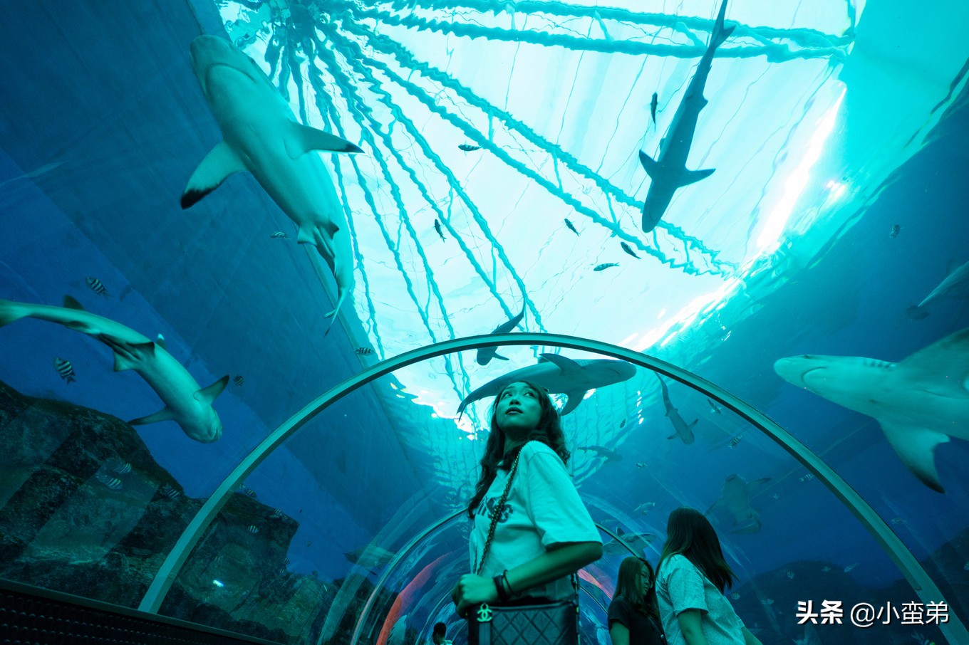 5年之许,小白逆袭重返新加坡