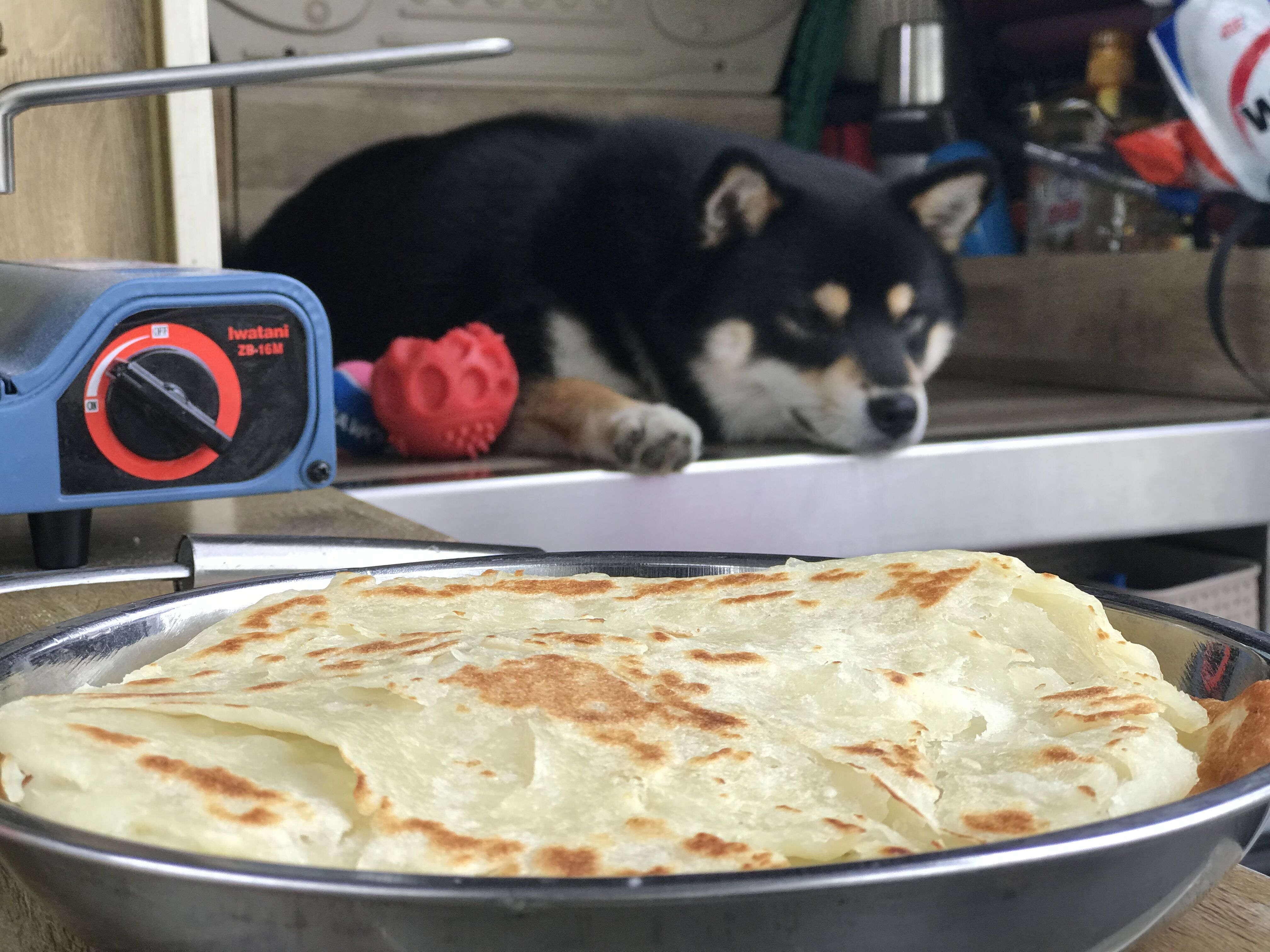 五一自驾野游珠海,珠海自驾游东北路线攻略