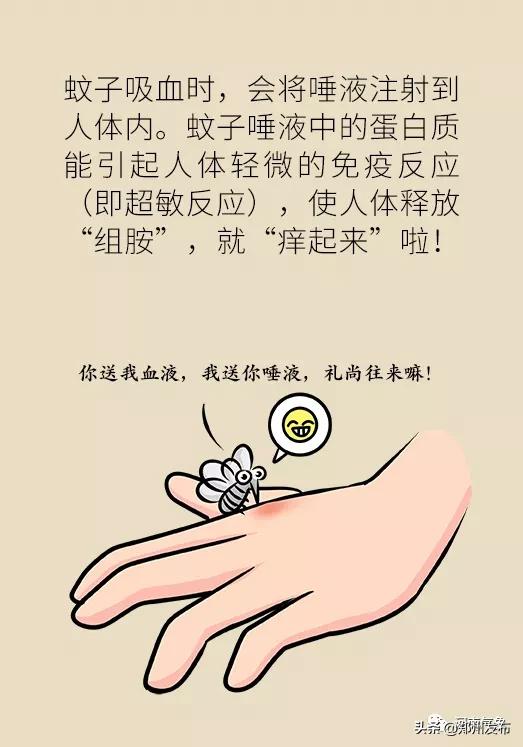 被蚊子吵得睡不着觉怎么发朋友圈,晚上用电风扇被蚊子吵得睡不着