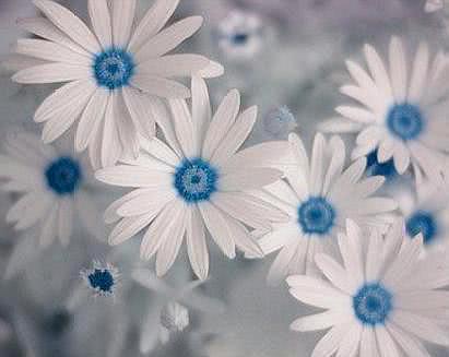 谈钱伤感情不谈钱又不行,谈钱伤感情不谈钱伤什么来着