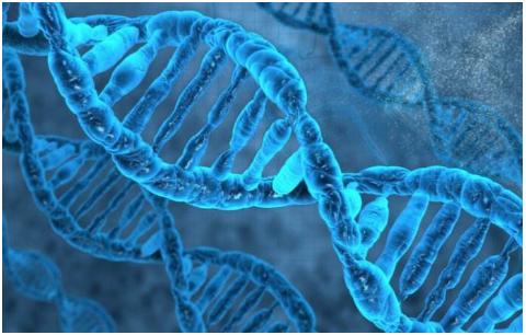 连续两次在8周胎停是什么原因,怀孕两次都胎停是什么原因