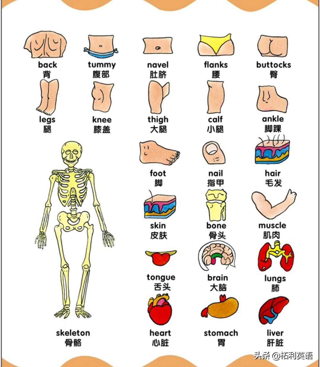 生活中常用的3000个英语单词短语,生活英语单词谐音大全