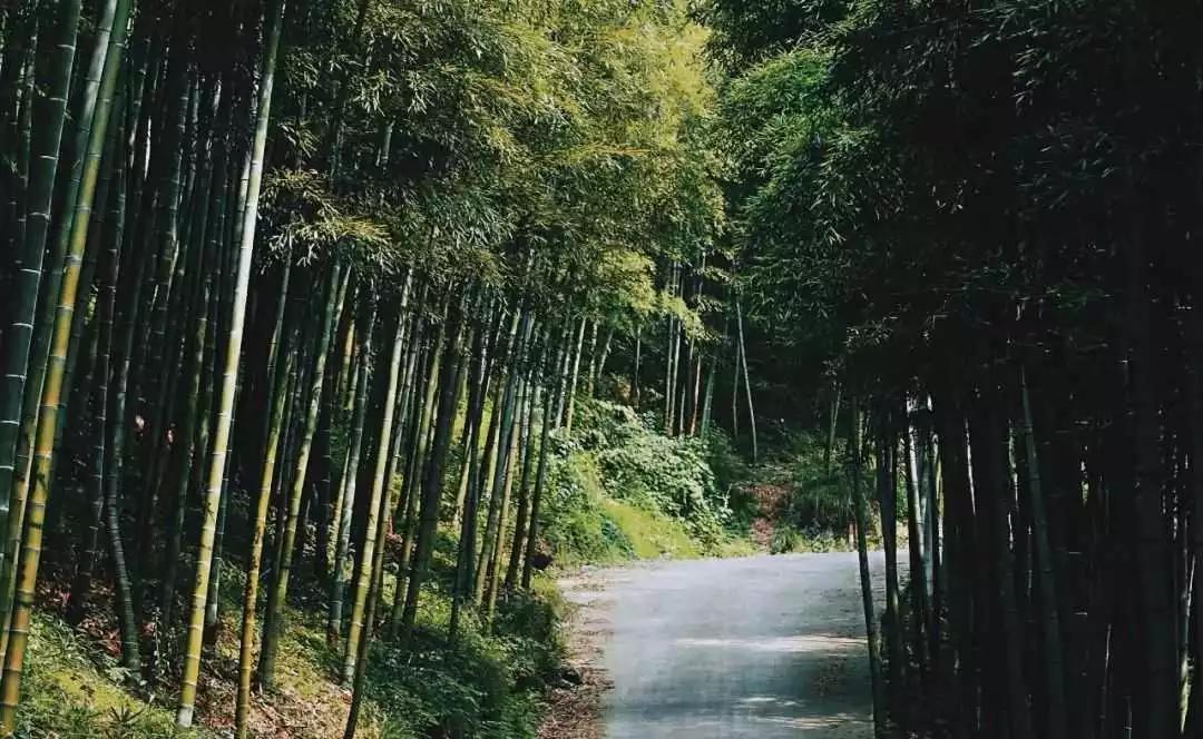 奥地利设计师操刀~热门综艺取景地，这里藏着你的冬日梦想