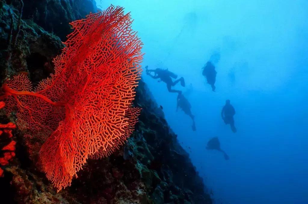 马尔代夫旅游度假岛组图,菲律宾长滩岛拥有亚洲最美沙滩