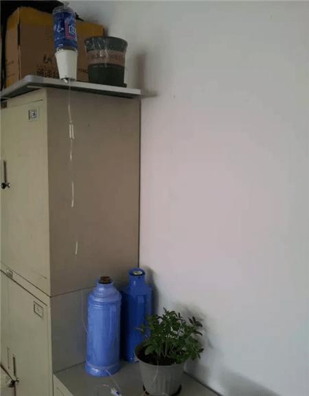 最简单自制自动水循环浇花,懒人浇花自动浇水diy