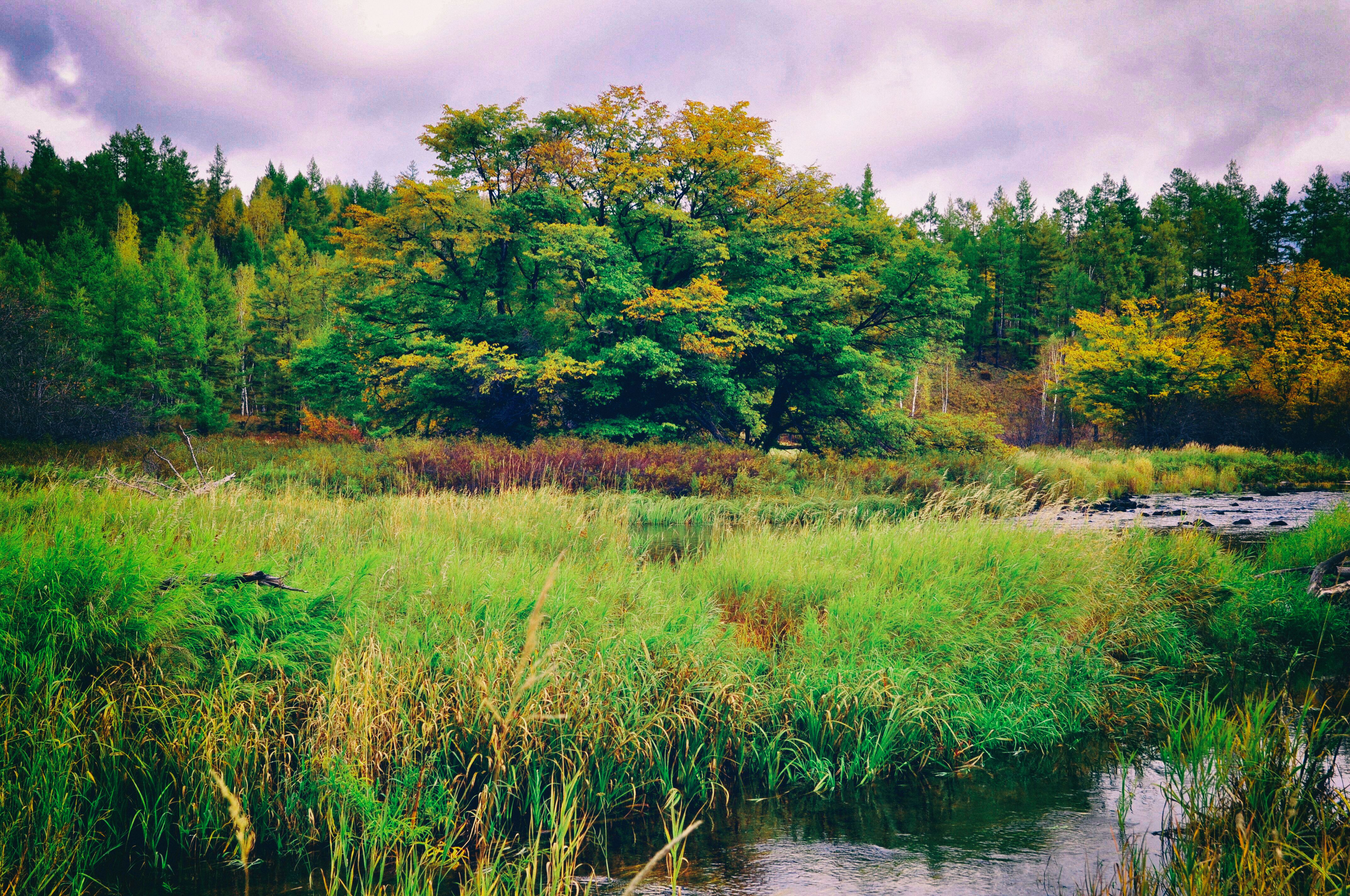 被称为东方瑞士的地方,号称东方瑞士
