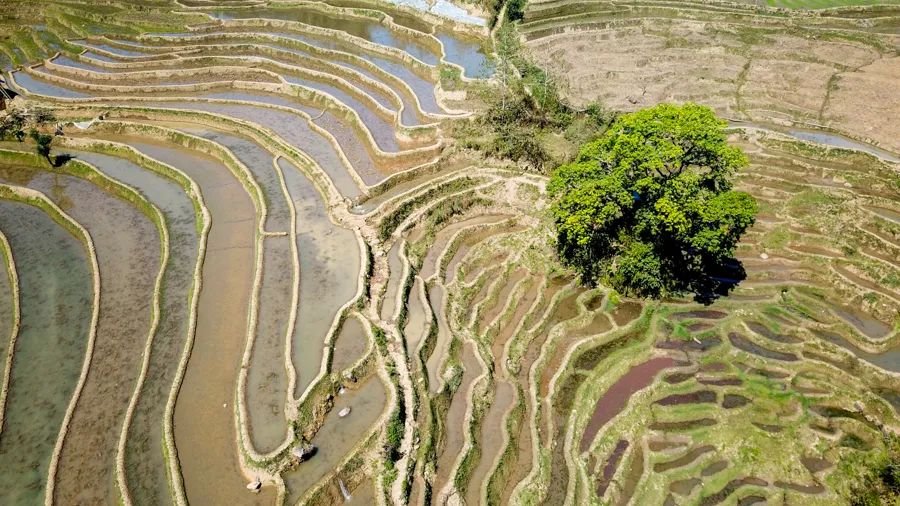 旅行是为了感受不一样的人生百态,旅行最好的状态就是不问归期