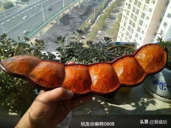 五块钱买的小玩意,5元一个的小玩意