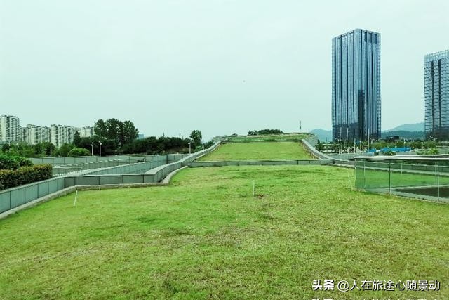 南京面积最大的公园，美不胜收却被游客忽略