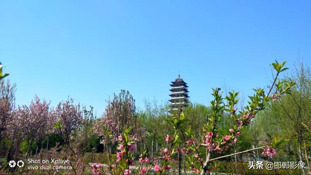 临漳七子湖的传说,临漳七子湖以前是什么样子的