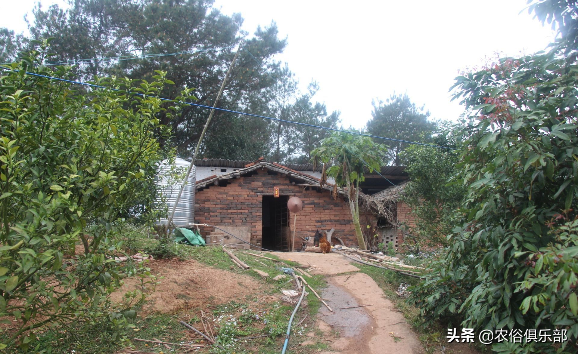 大门不对直冲路不种树，农村这些习俗并非迷信，而是为了居住安全