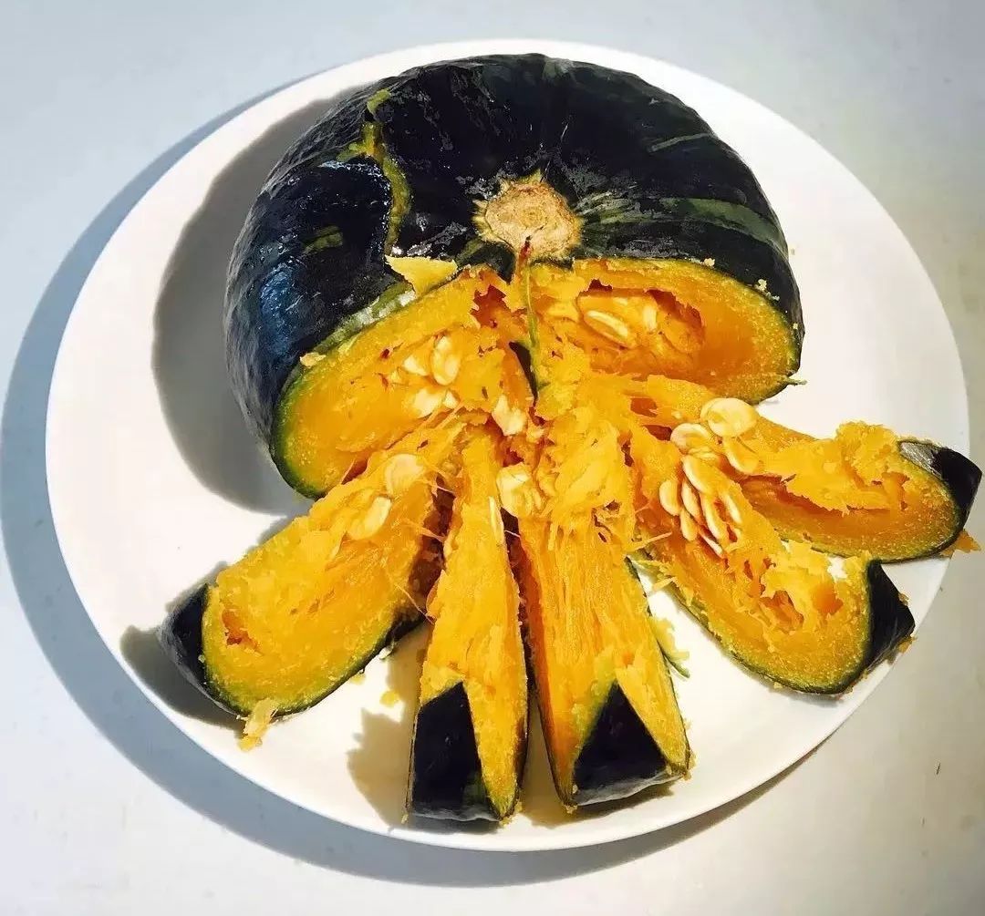 1斤10元种植什么最赚钱,田地种植什么品种最挣钱