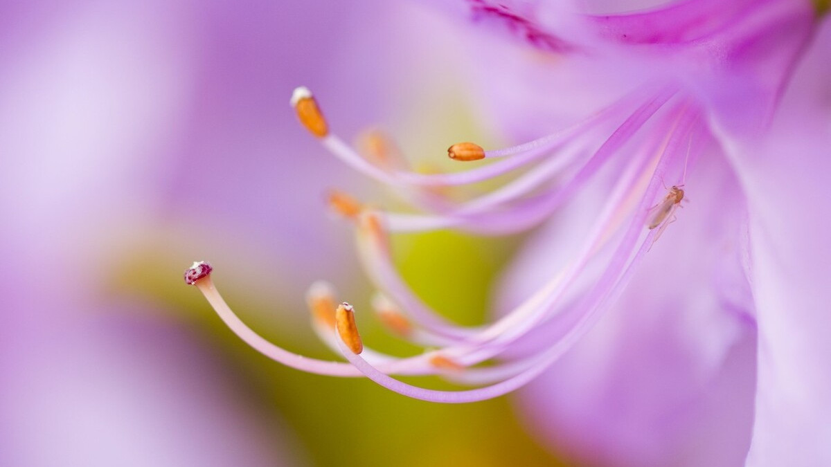 令公桃李满天下,何用堂前更种花。读古诗词,致敬辛苦的园丁