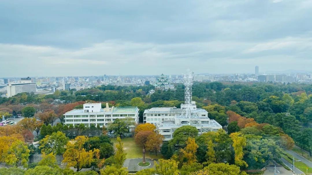不一样的旅行完整版视频,不一样的旅行全集视频