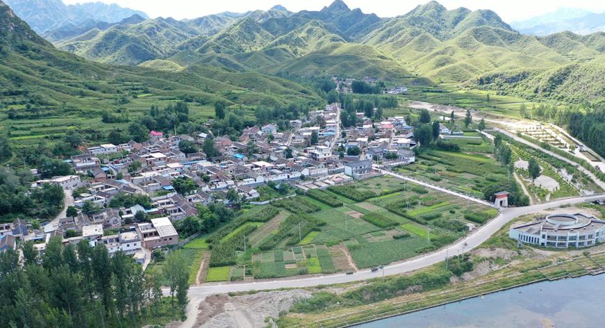 圆歌集团魏娜简介,圆歌文商旅魏娜