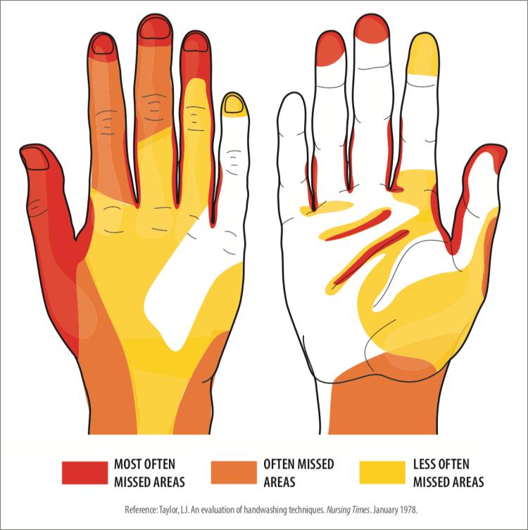 来上一滴洗手液,就此进入新世界