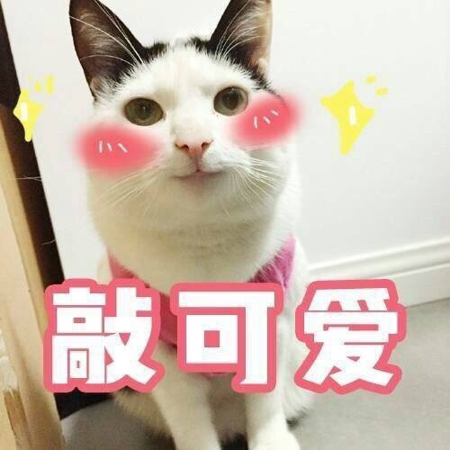 牛犇老师真的是宝藏大爷了！从影70年，人狠话不多，满满正能量！