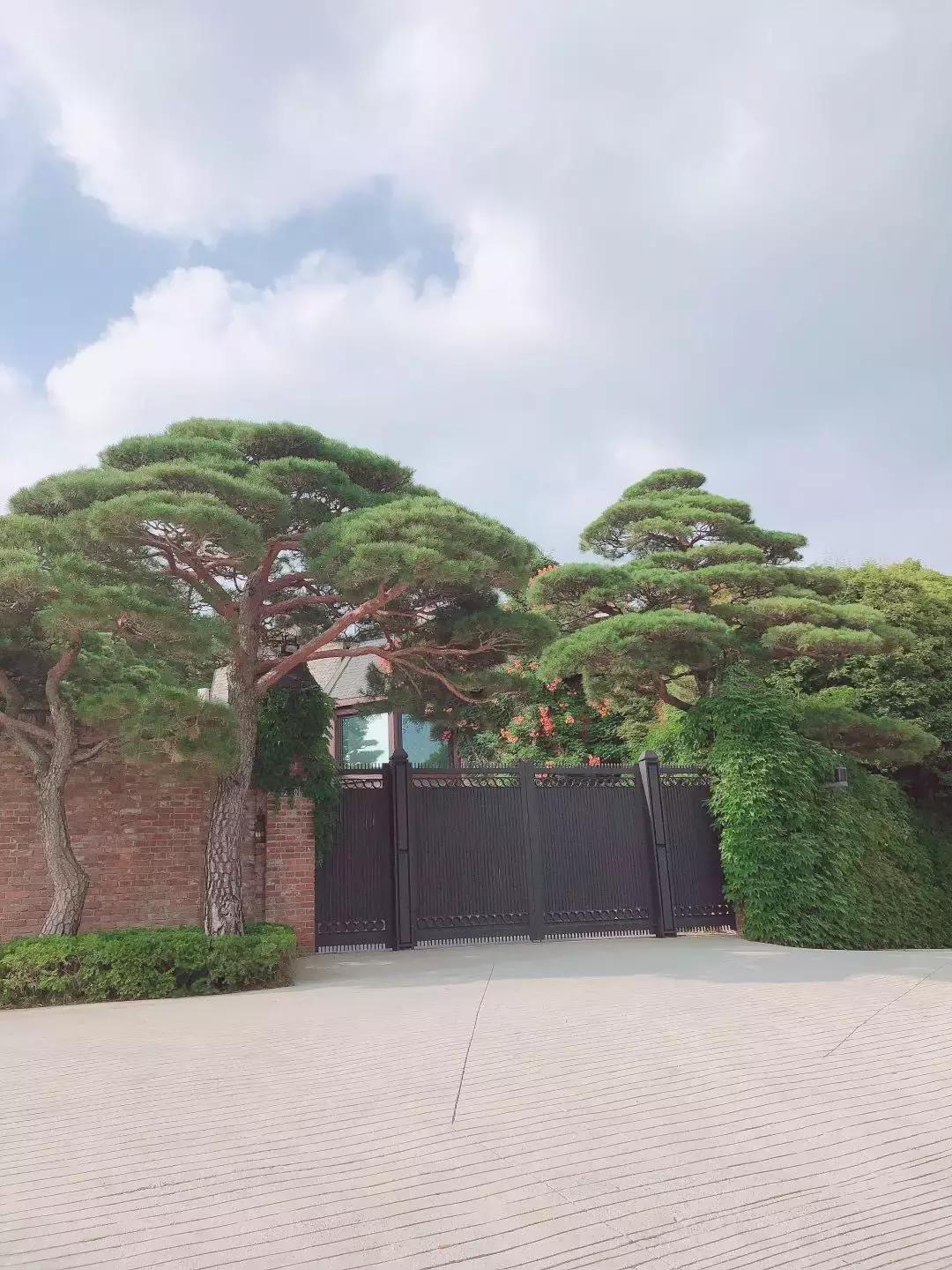 来首尔必去的地方,首尔必去的10个店