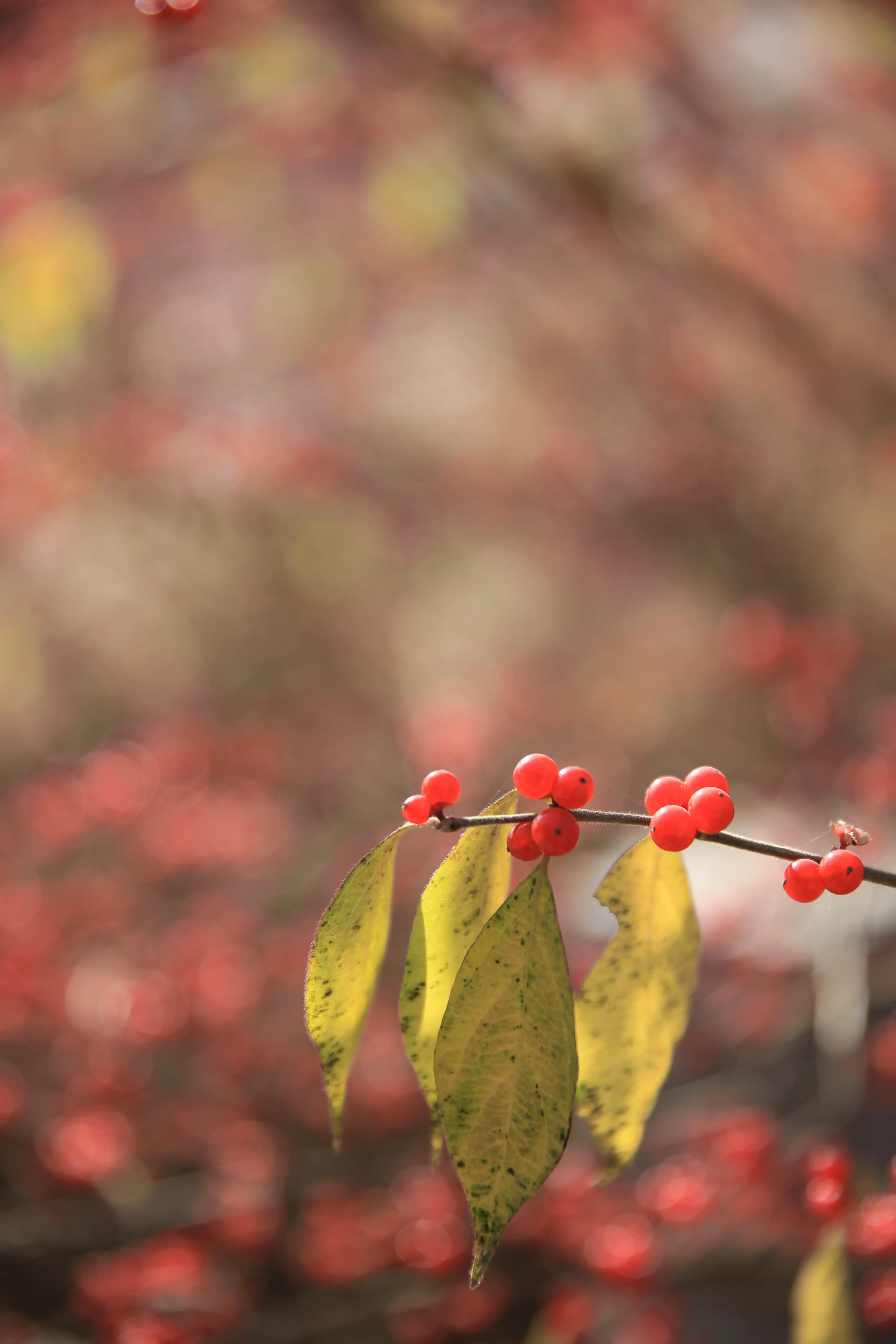 蓟县是天津的后花园么,骑行蓟县天津的后花园