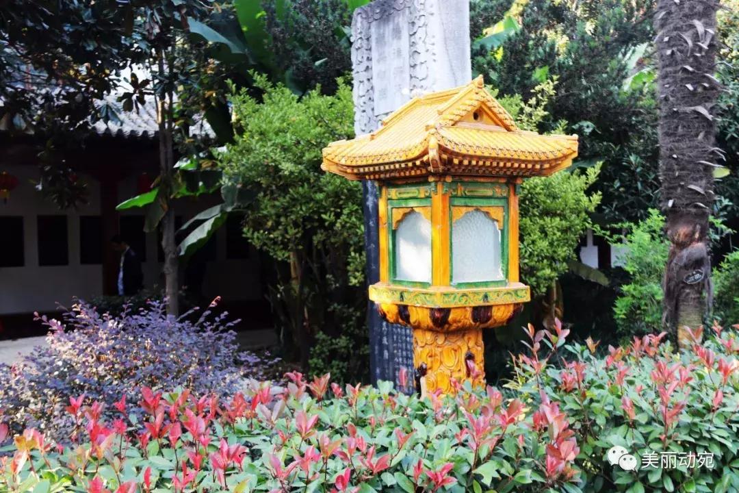 这本书，世上只有一本；这个人，也再也不会出现