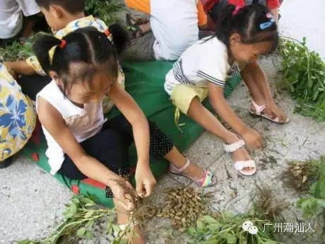 潮汕女孩子小名叫什么好,潮汕女孩小名乳名大全
