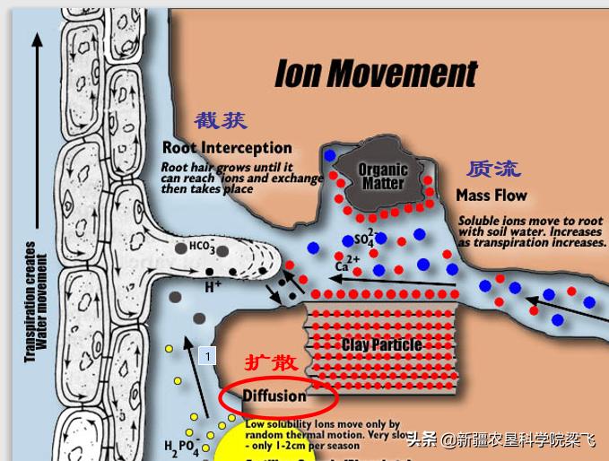 什么能化解土壤里的磷肥,磷肥怎样不板结