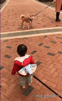 搞笑动图gif动物,搞笑动图gif沙雕