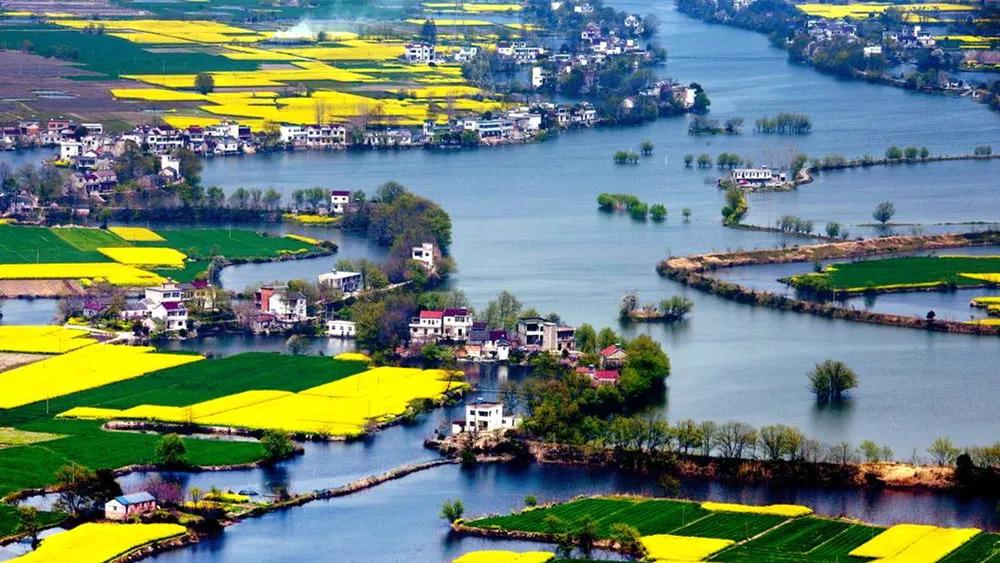 油菜花风景点,罗平县小油菜花