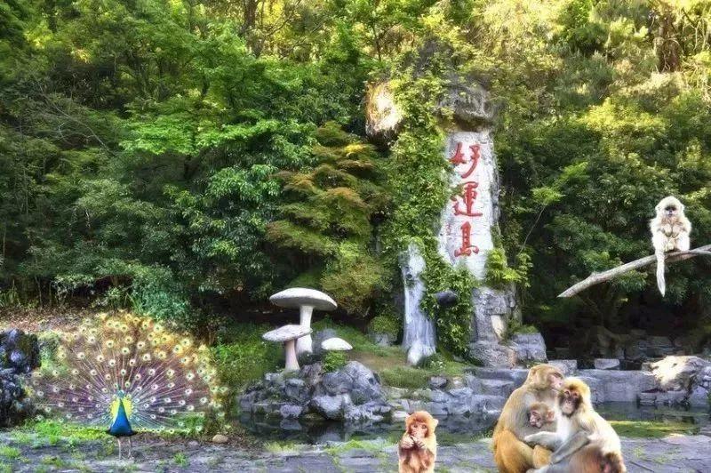 一场穿越千年的汉服旅游,五一旅行指南梦回大唐汉服