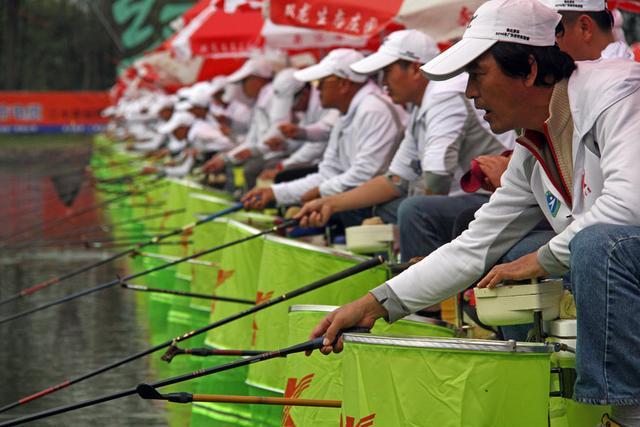 野钓蓝鲫怎么选择,钓鲫鱼用野战蓝鲫还是老三样