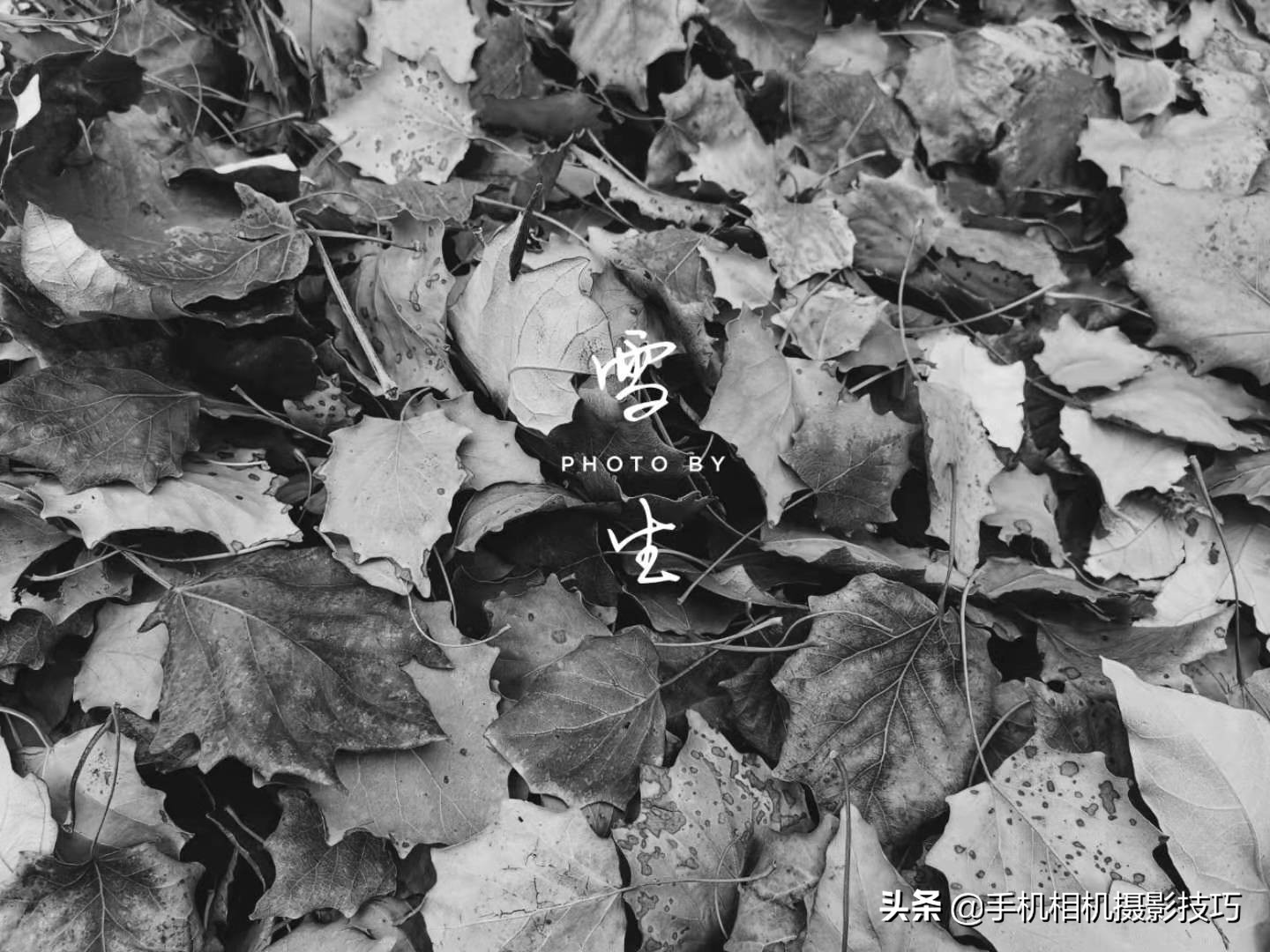 你的照片好不好看,照片拍得好与不好的区别