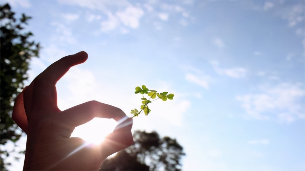 全职太太捐款母校反被骂解读,全职太太捐款回应