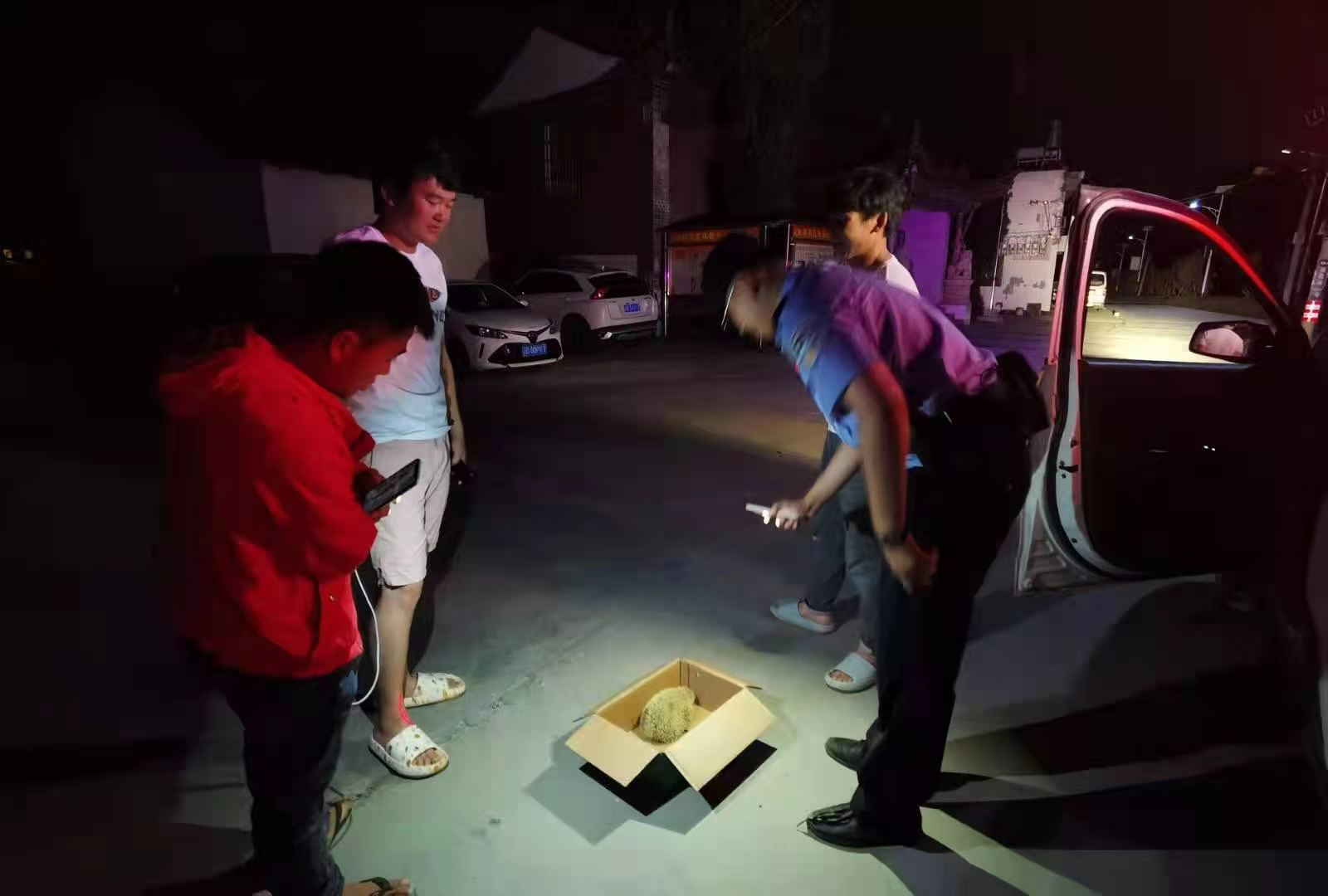 cop15小故事,cop15挑战赛知识点