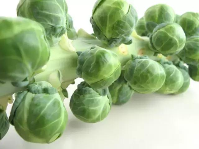 抱子甘蓝什么季节上市,抱子甘蓝和普通甘蓝的营养区别