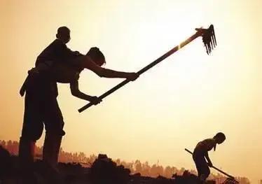 乡情散文珍贵的童年,怀念我的姐姐散文