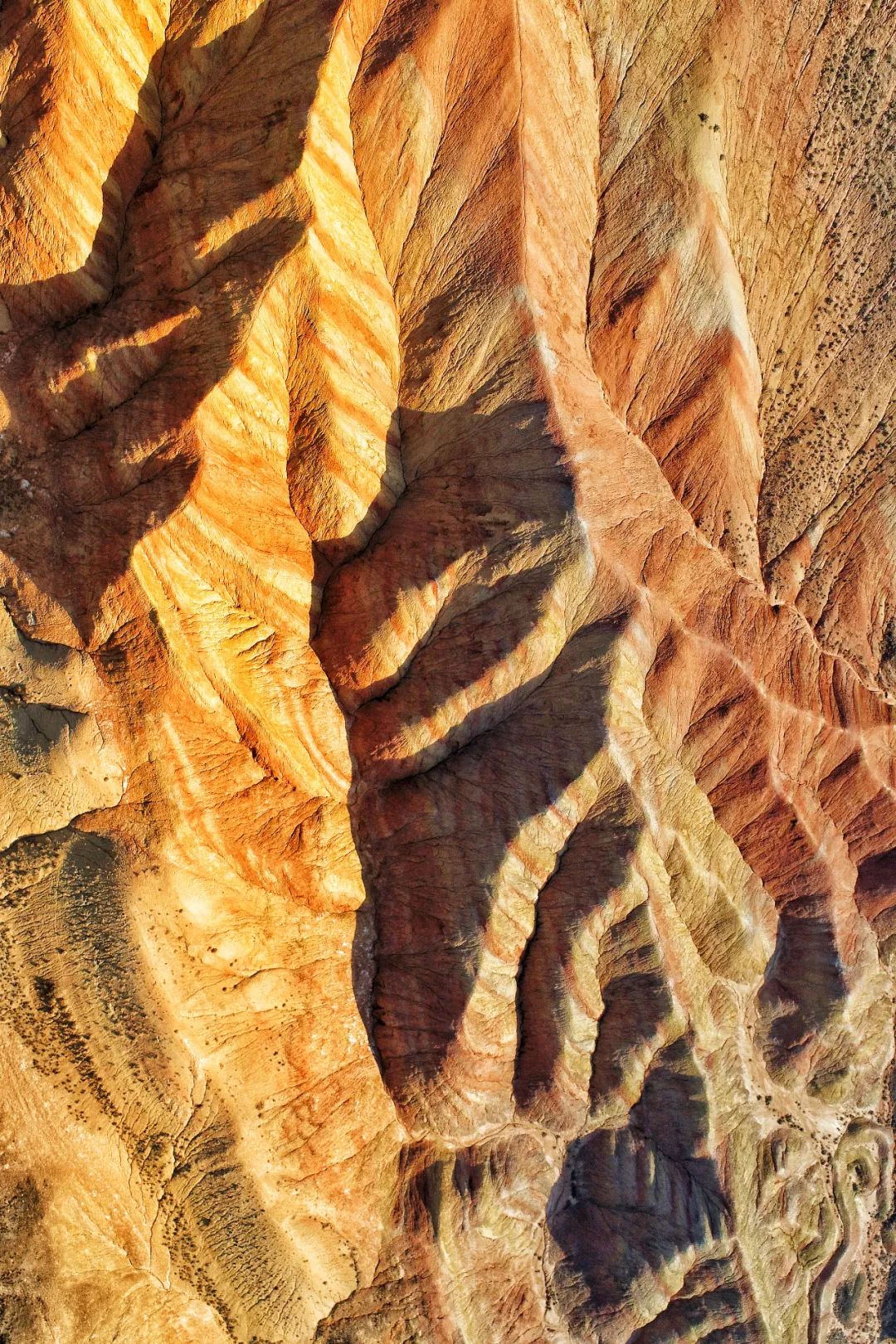 青白江不修地铁是真的吗,青白江不通地铁是地理原因吗