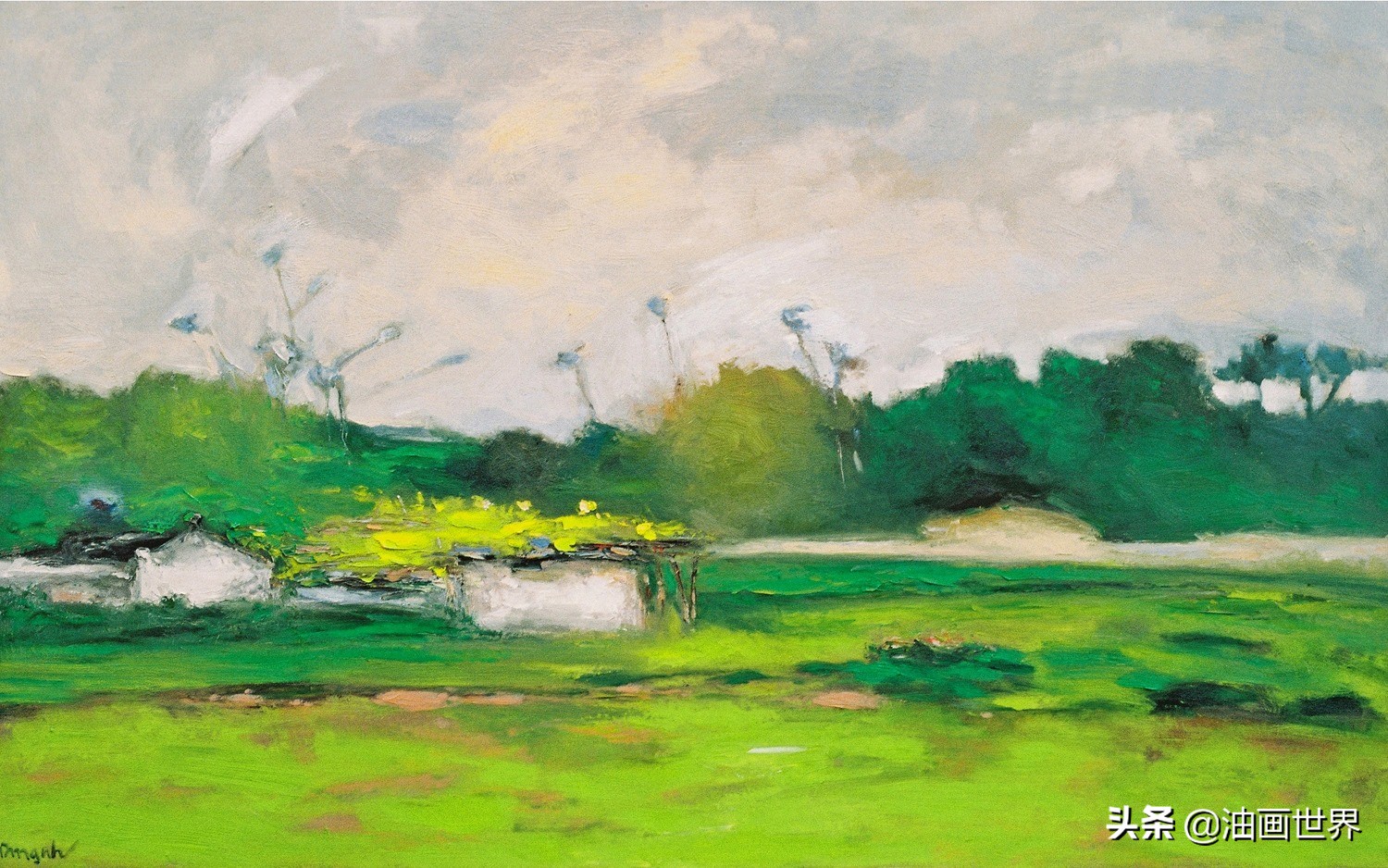 越南最惊艳的画家,越南画家dangvancan作品图片