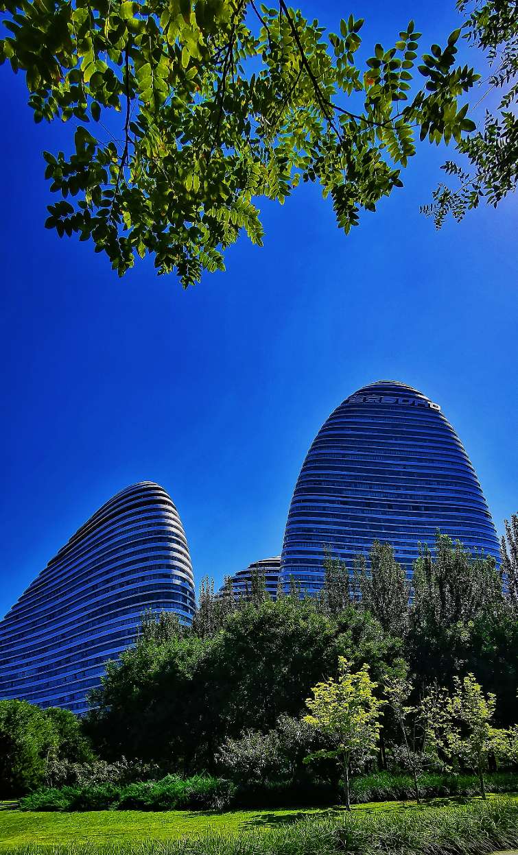 鍖椾含绉樺,鍖椾含绉樺涔嬫梾