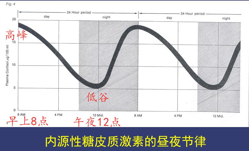 降尿蛋白的药能降肌酐吗,中成药降肌酐尿蛋白可靠吗