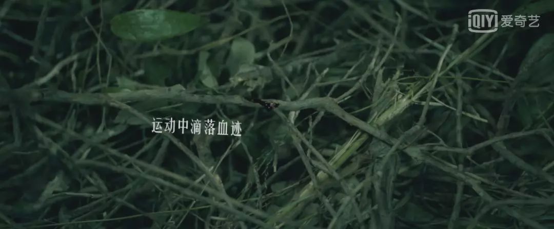 心灵法医枪击案,心灵法医破案大全