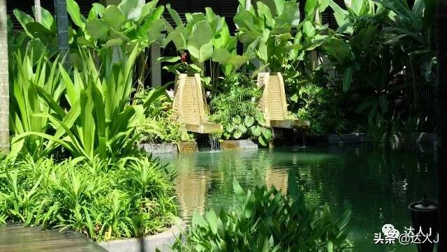 清迈攻略介绍,清迈攻略最全