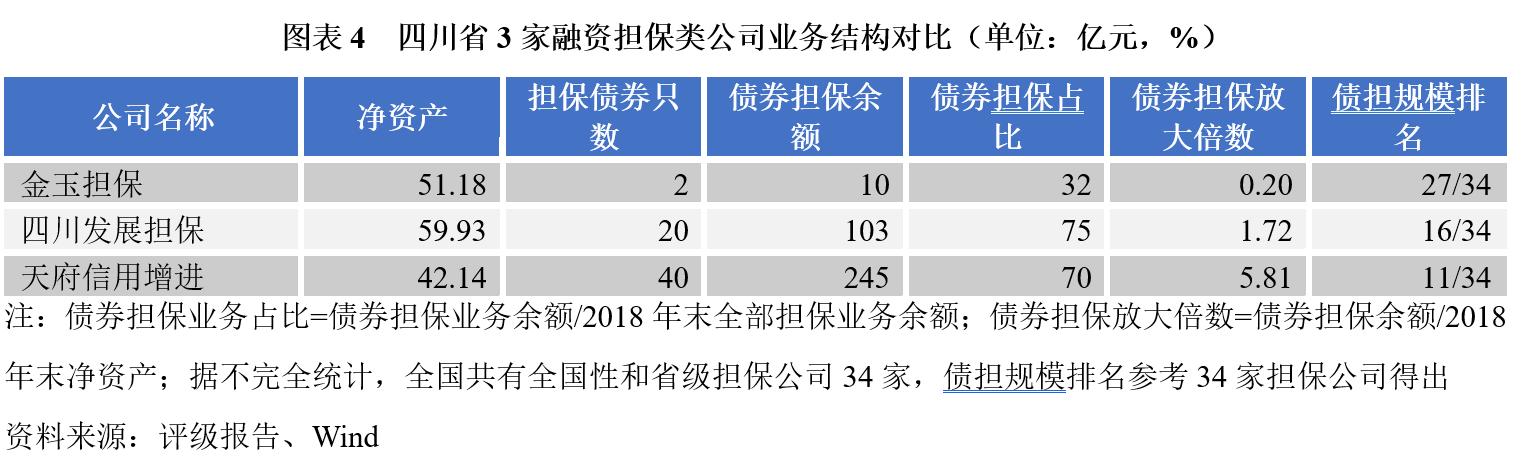 担保公司运营情况汇报材料,担保公司担保项目案例