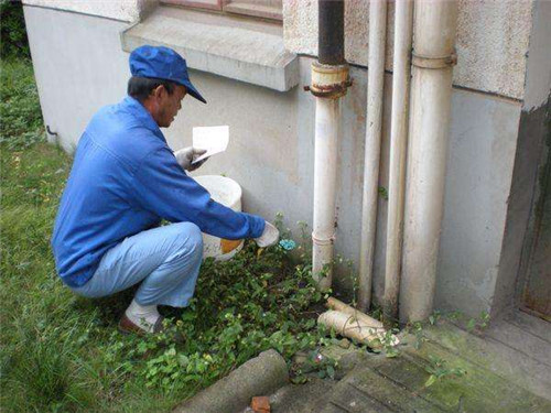 家庭怎样灭蟑螂杀虫,家庭怎么消灭蟑螂最快