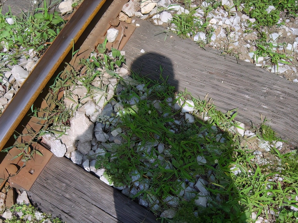 运转昭化站,探秘821厂铁路专线