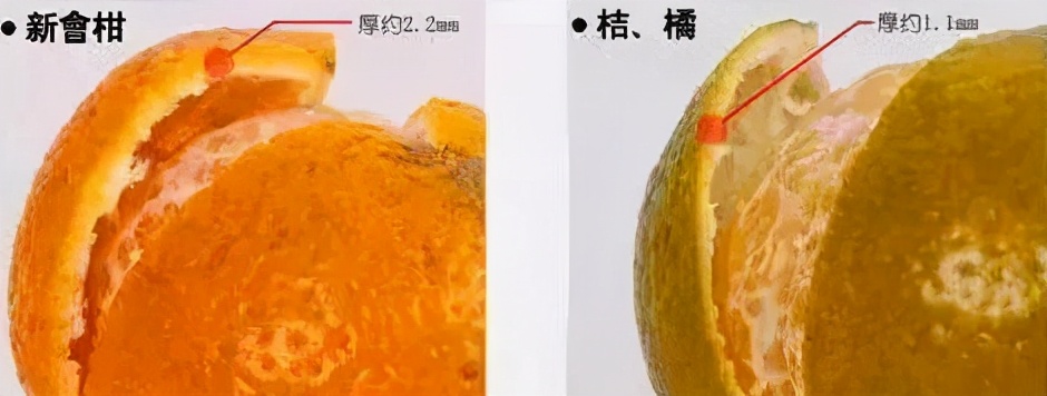 喝茶拉肚子是排湿吗,喝茶拉肚子是因为茶发霉吗