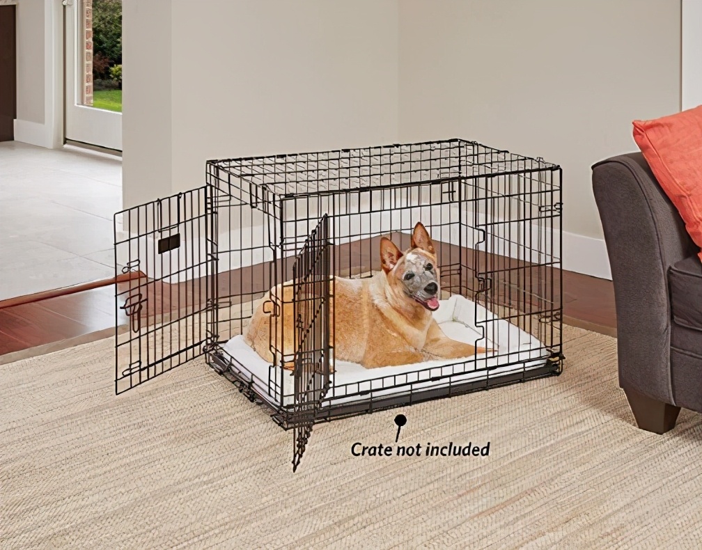 亚马逊爆款——宠物床——美国外观专利侵权分析预警