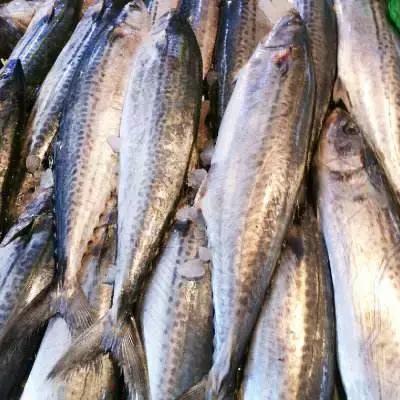 秦皇岛海鲜有哪几种比较好,这时的秦皇岛有哪些海鲜正当季