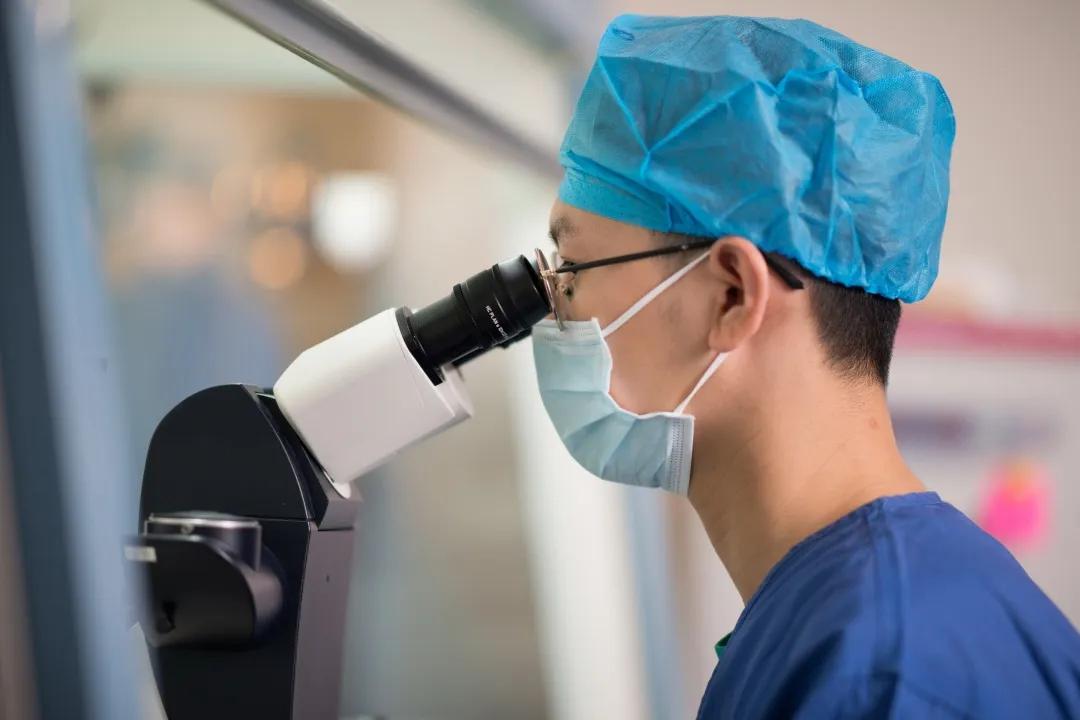 试管婴儿胚胎移植一次成功的几率,试管婴儿移植失败胚胎去哪里了