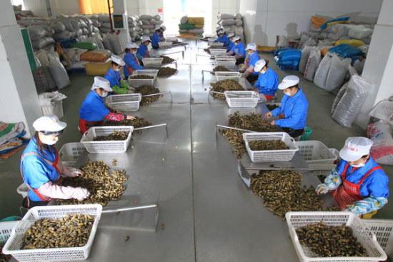 槟榔为何是软性毒品,千亿槟榔行业为何突遭重锤